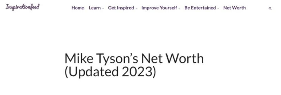 mike tyson net worth