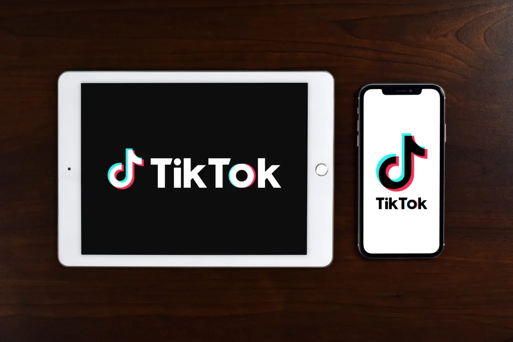 TikTok search engine