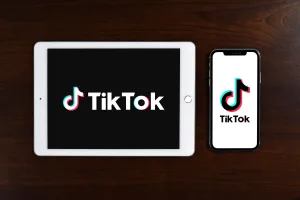 TikTok search engine