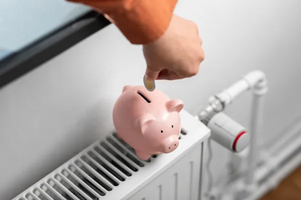 Radiators and central heating, the category Stelrad manufactures for