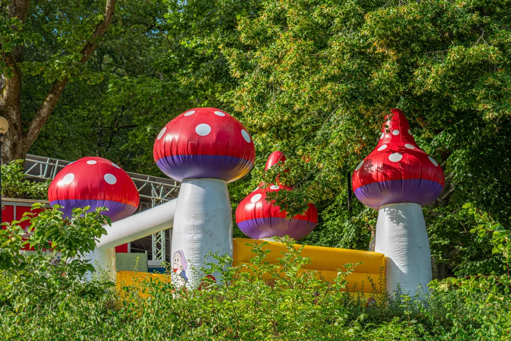 Inflatables and bouncy castles, the products Megaflatables sells
