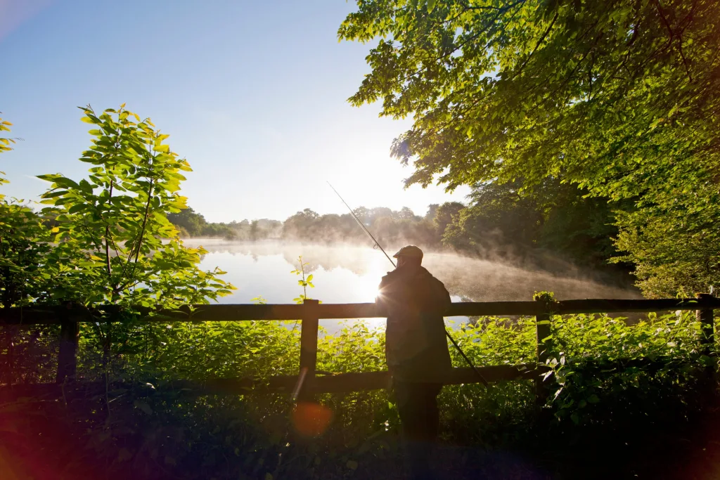 Carp fishing at the lakeside, the sport UK Carp Tech supplies