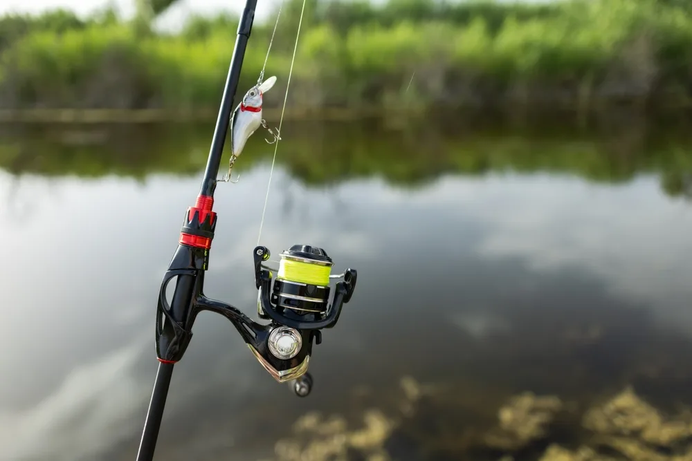 A rod and reel set up on the bank of a quiet lake